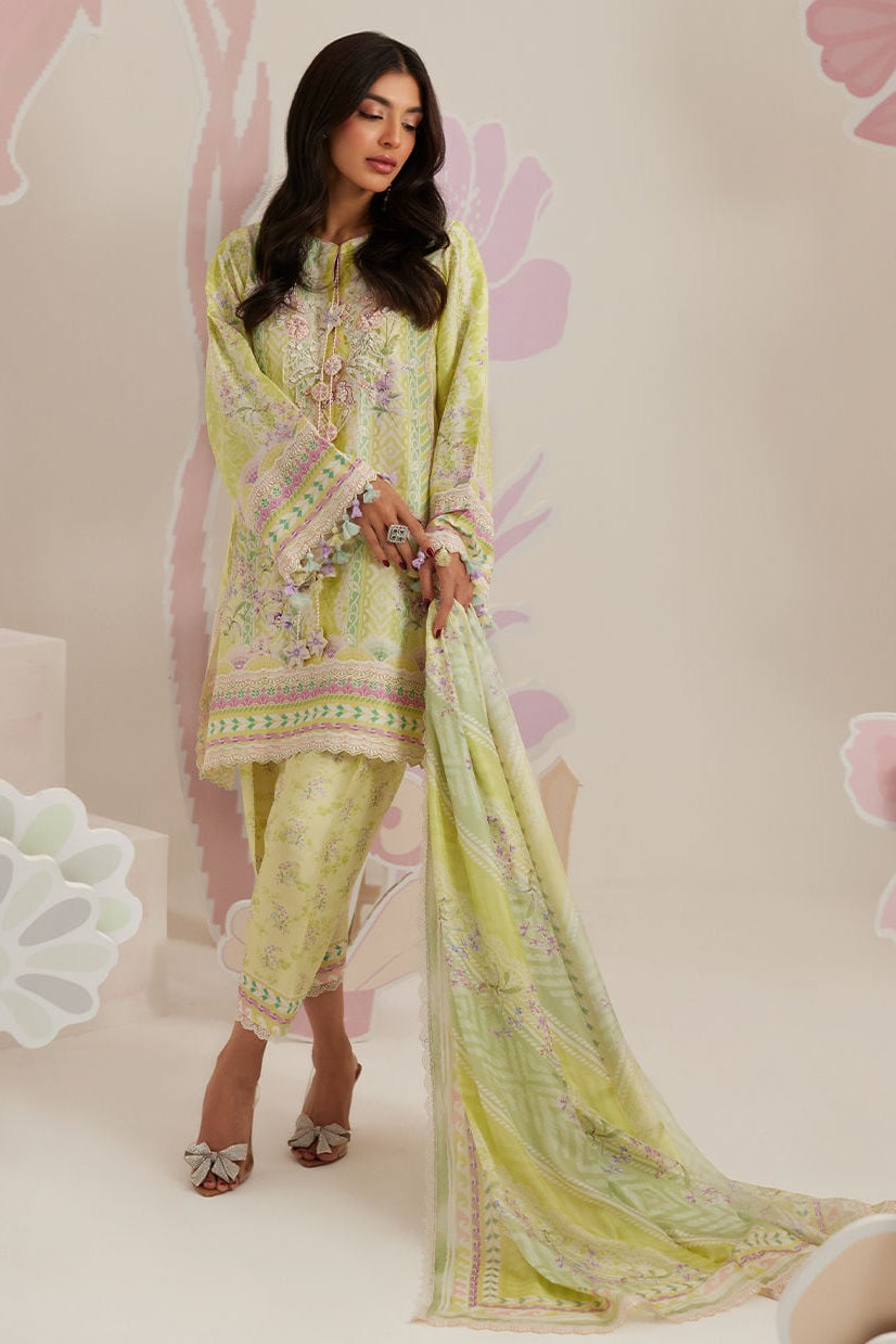 Riva Shirt & Dupatta