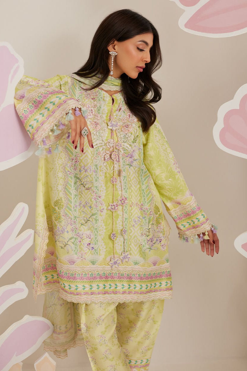 Riva Shirt & Dupatta