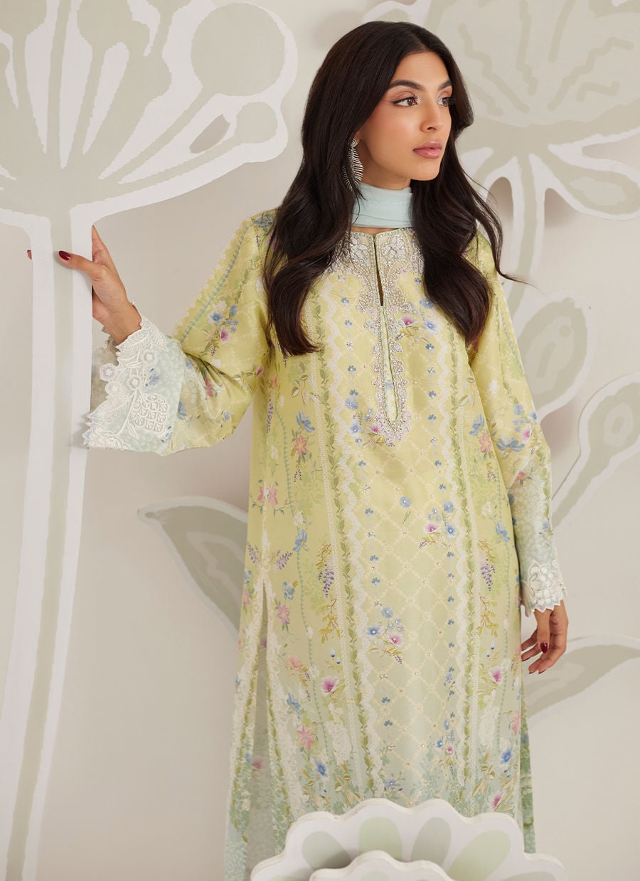 Orelia Shirt & Dupatta