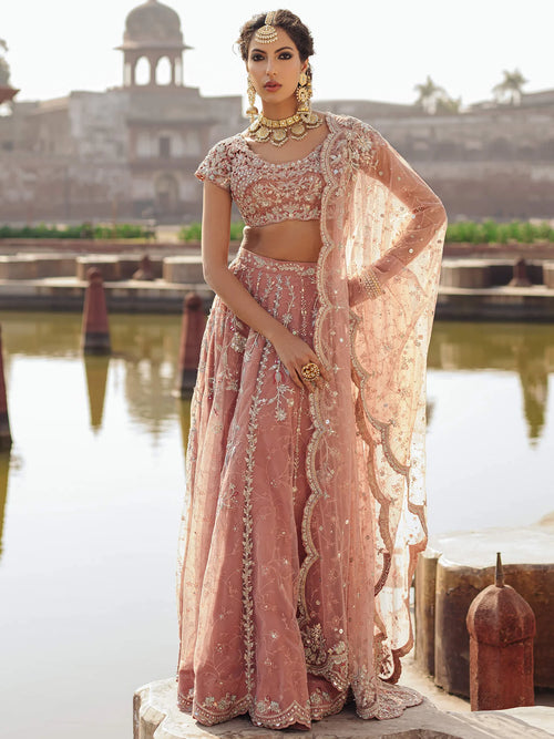 Chai Pink Lehenga